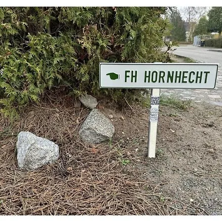 Hornhecht Comfortable Born